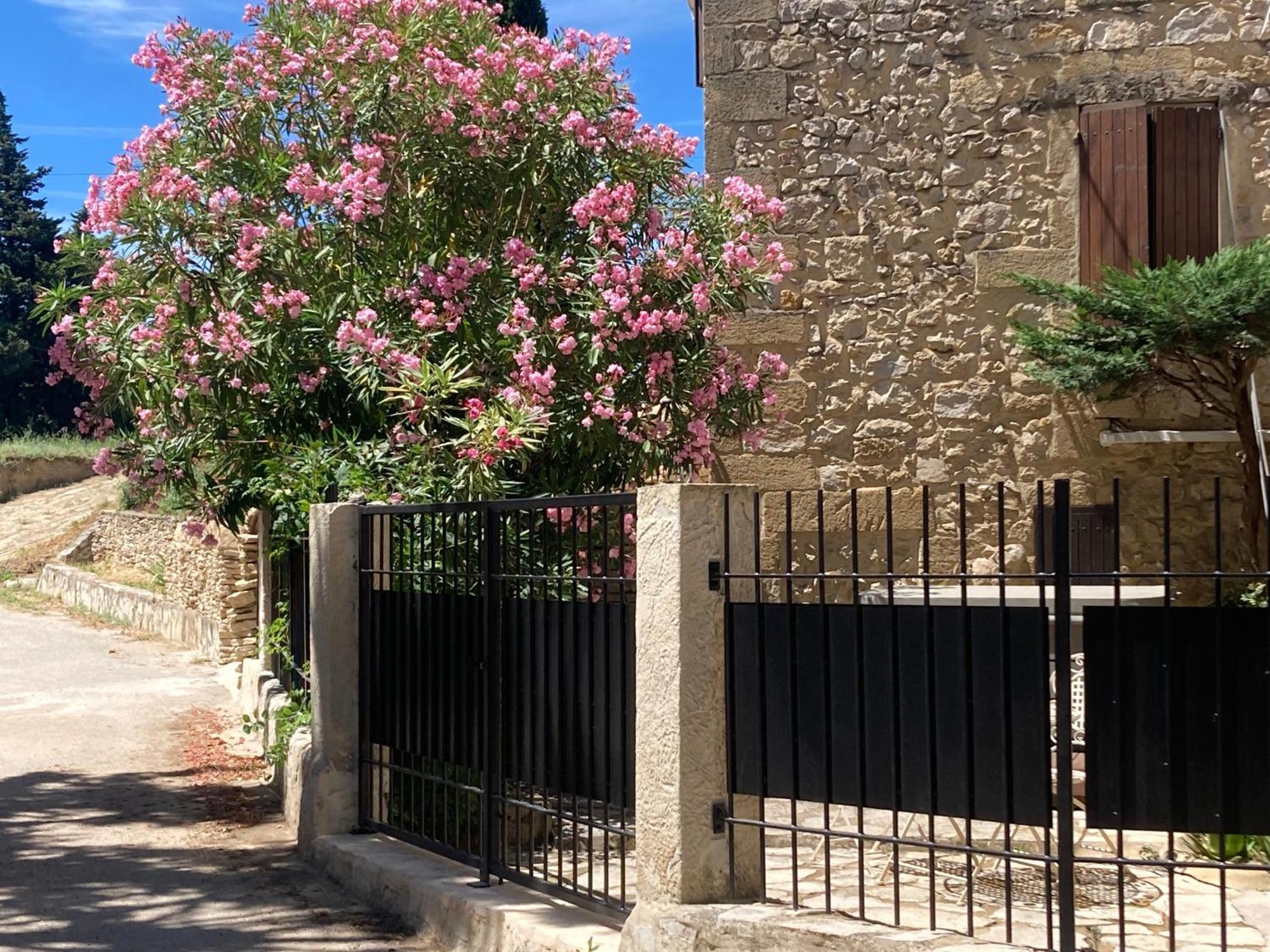 Le Studio D Aurelie Avec Spa Ete En Pleine Campagne Et Proche De Toute Commodite Roquemaure  Exterior photo